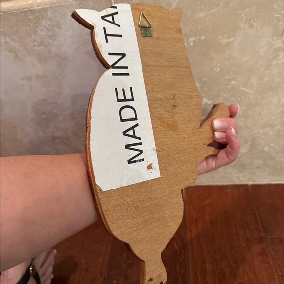 Beautifully hand crafted 3 dimensional Intarsia Wood Art OWL Sign Wall Plaque. - Picture 4 of 5